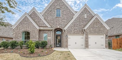 13609 Violet Bay Court, Pearland