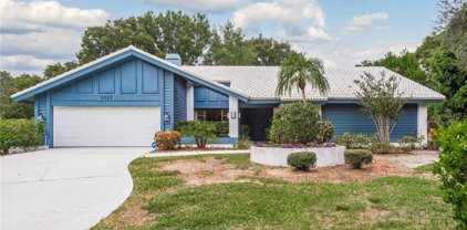 1337 Willow Brook Drive, Palm Harbor