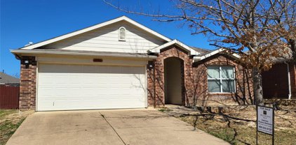 1737 White Feather  Lane, Fort Worth