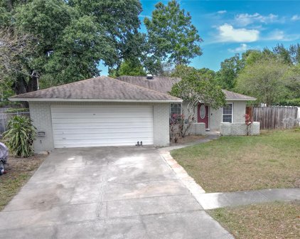 129 Euclid Loop, Seffner
