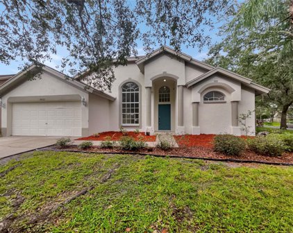 16612 Lake Heather Drive, Tampa