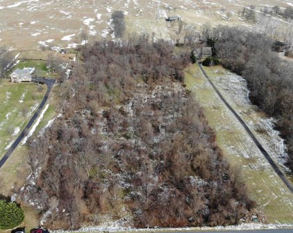 Trapp Hill, Berryville