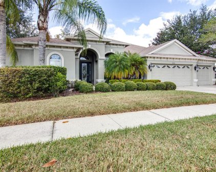 3135 Marble Crest Drive, Land O' Lakes