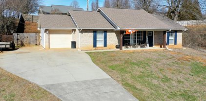 232 Old Clover Hill Rd, Maryville