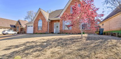 9547 Morning Shadow Dr, Cordova