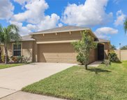 10301 Boggy Moss Drive, Riverview image