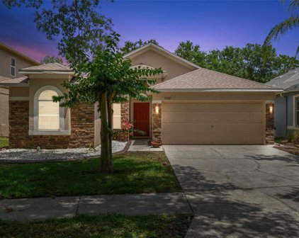 7753 Blue Spring Drive, Land O' Lakes