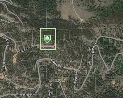 32593 Lodgepole Drive, Evergreen