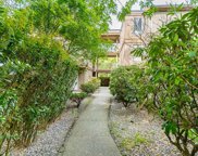 9138 Capella Drive Unit 202, Burnaby image