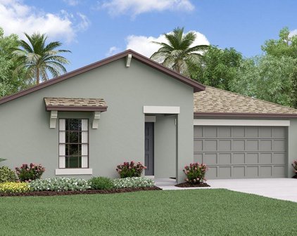 5359 Blue Horizon Way, Wimauma