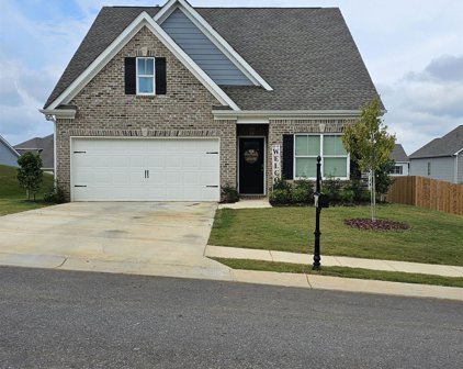 9047 Meeting Street, Pell City