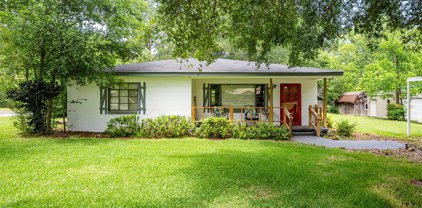 401 Pine Bluff Rd, Albany