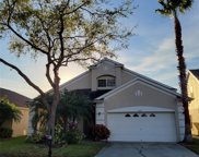2623 Palesta Drive, Trinity image