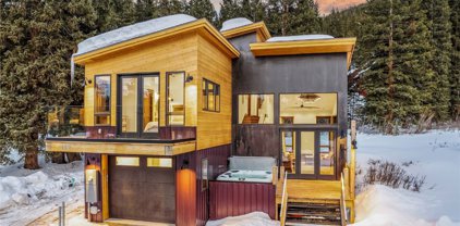 162 Doris  Drive, Breckenridge