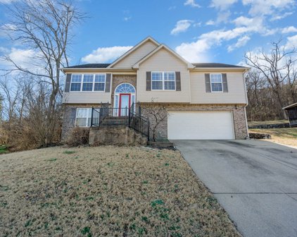207 Saint Martins Ln, Smyrna