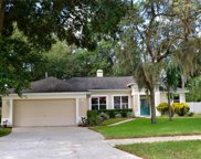 1070 Shimmering Sand Drive, Ocoee image