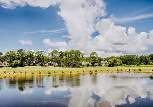 palmetto hall
