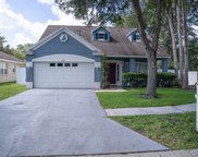 2501 Deer Forest Drive, Lutz image