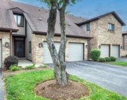 1753 Pebble Beach Drive, Hoffman Estates image