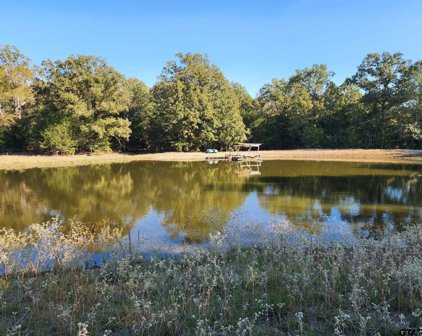 0000 0000 N Hwy 37, Quitman