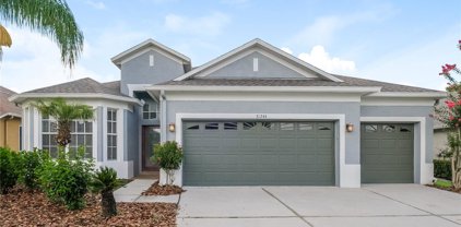 31244 Alchester Drive, Wesley Chapel