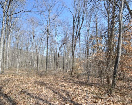 Tract 2 W Hwy 42, La Grange