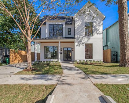 1110 Alexander Street, Houston
