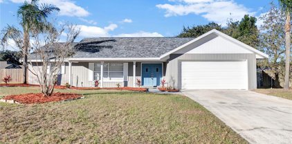 4547 Mohican Trail, Valrico
