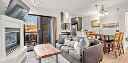 100 S Park  Avenue Unit 224, Breckenridge