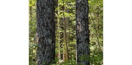 Forest Road 4610, Estacada