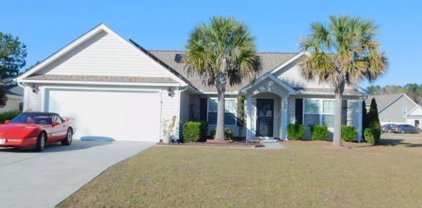 400 Bristlecone St., Longs