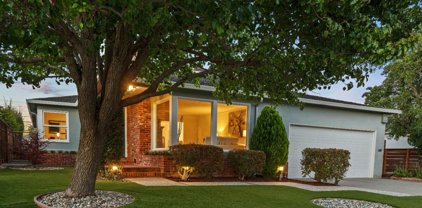 503 Yale DR, San Mateo