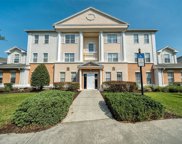 7689 Heritage Crossing Way Unit 202, Reunion image