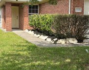 14442 Hamilton Grove Lane, Houston image