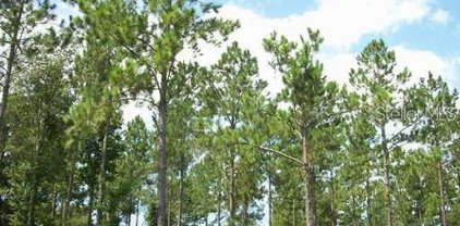 35920 Ramsey Ridge Drive, Dade City