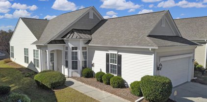 16275 Raven Crest  Drive, Indian Land