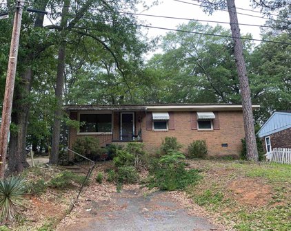 207 Herbert, Spartanburg