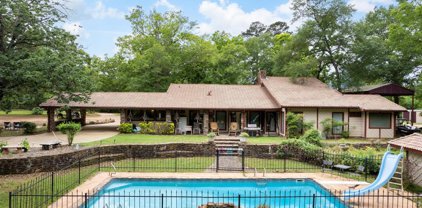 7391 Breeland Road, Willis