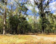 11310 S Pleasant Grove Road, Inverness image