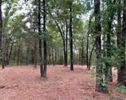Brandy Lane Lane, Tishomingo image