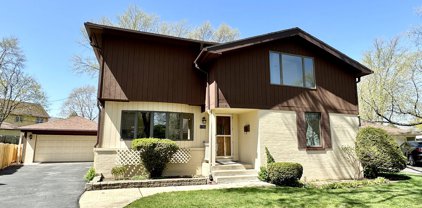 1116 N Pine Avenue, Arlington Heights