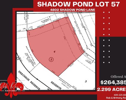 4802 Shadow Pond Ln, Alvin