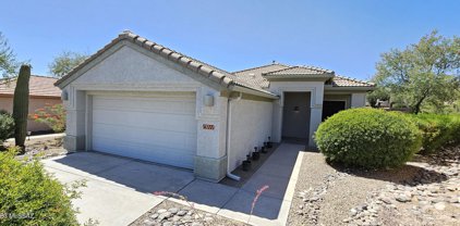 13711 N Gold Cholla, Marana