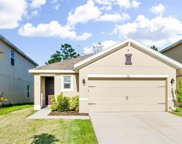 125 Lacewing Place, Valrico image