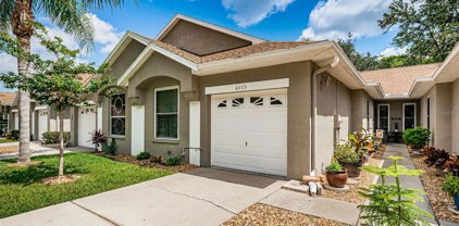 4375 Brooker Creek Drive, Palm Harbor