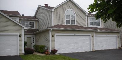 1223 Dunamon Road Unit #1223, Bartlett
