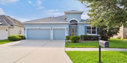 20118 Oakflower Avenue, Tampa