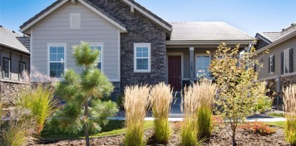 1165 Brocade Drive, Highlands Ranch