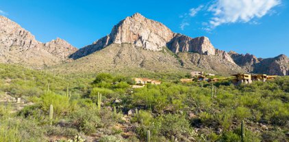 1790 E Calle Del Vaso Unit #14, Oro Valley