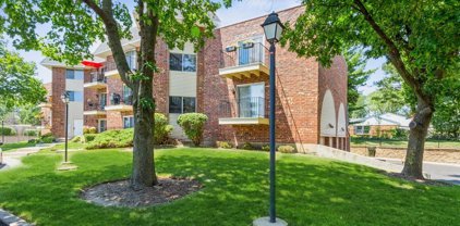 1750 S Arlington Heights Road Unit #4, Arlington Heights